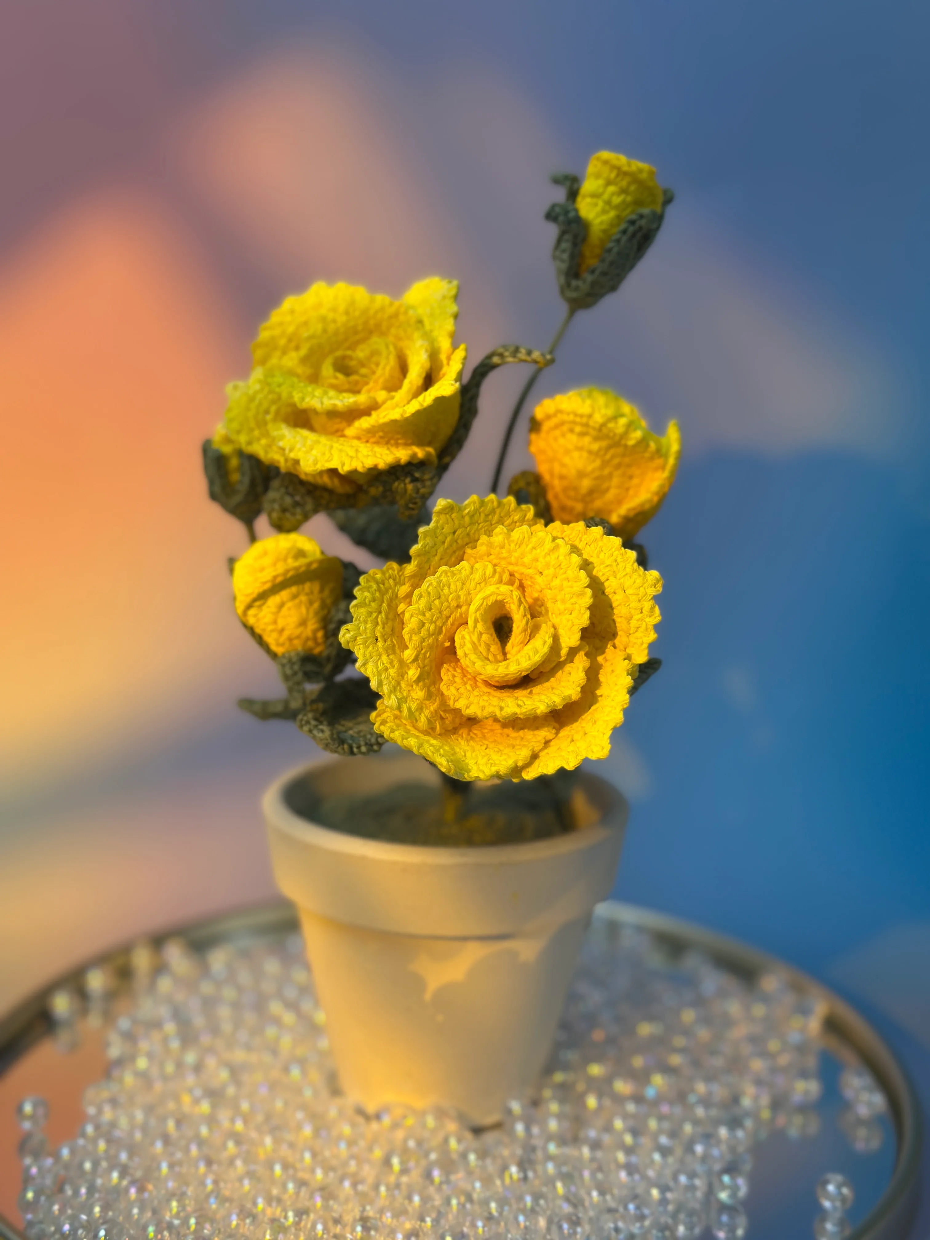 Chậu hoa hồng mini để bàn - anh 1